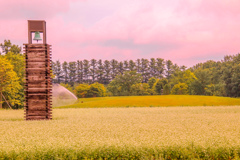 きんこーん　かんこーん