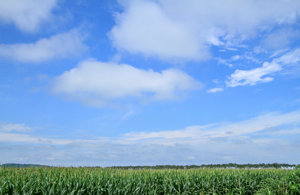 はれ　ときどき　くもり