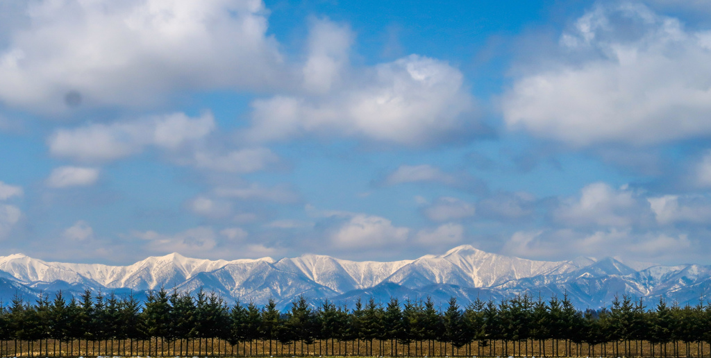 あおぞらと　くも