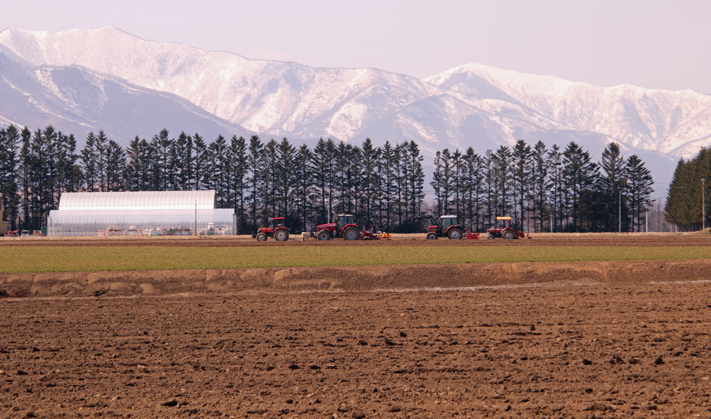 はたけに　はるを　まきましょう。