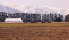 はたけに　はるを　まきましょう。