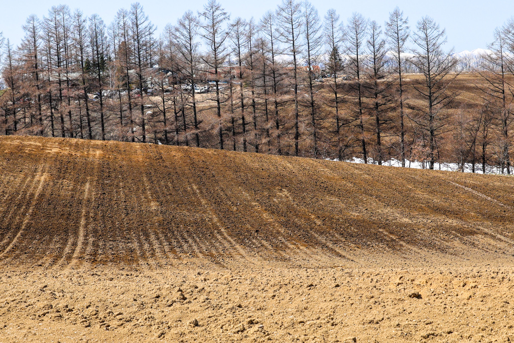 はたけの　むこうに