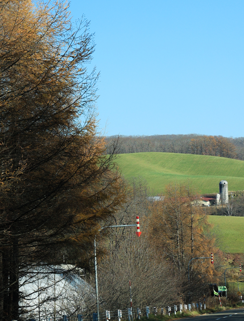さいろの　ふうけい