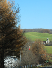 さいろの　ふうけい