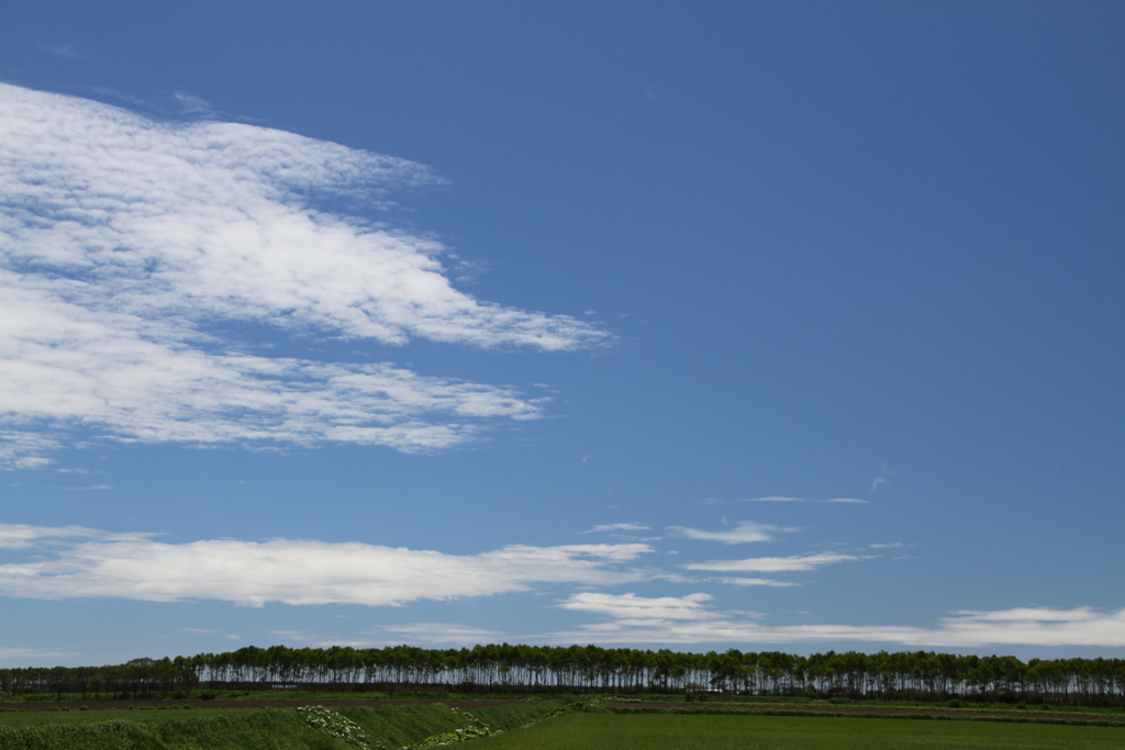 ながれる雲を追いかけながら。