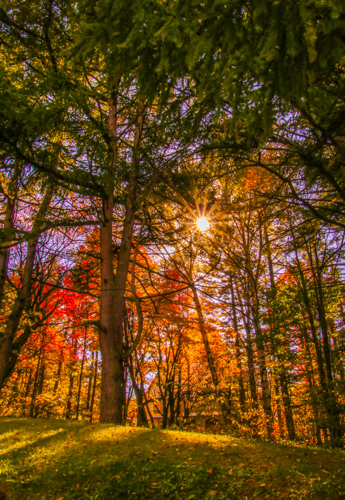 このまま　ずーっと