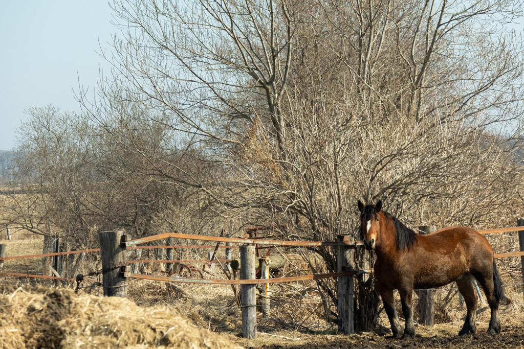 はる　を　よべ