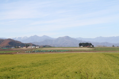 必ず見に行く風景。