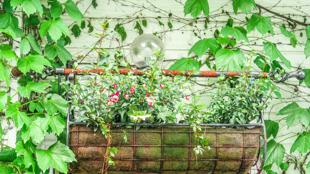 ただたんに　とってみた