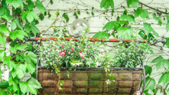 ただたんに　とってみた