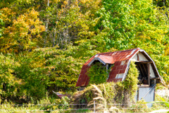 もりに　かえる
