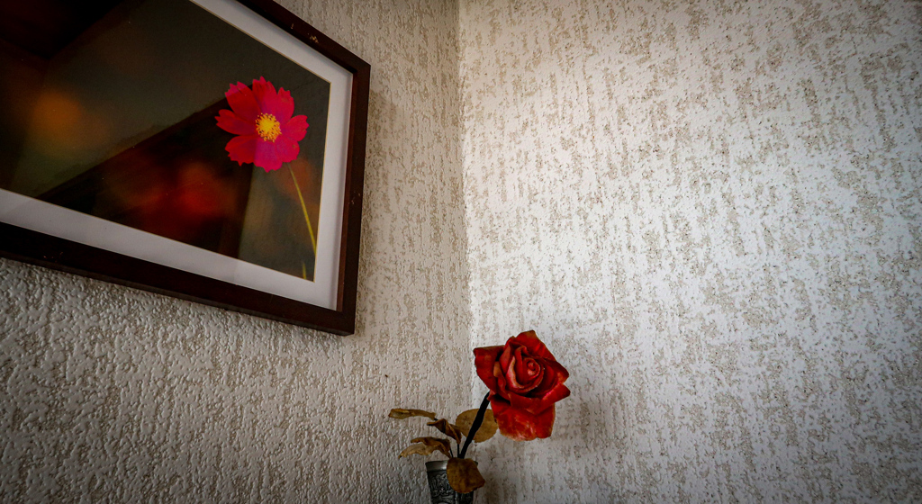 ぞうか　と　しゃしん