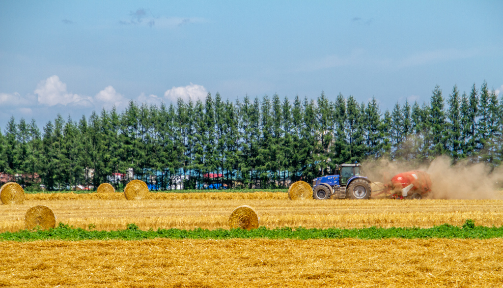 こっちも　ぐるぐる