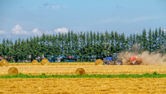 こっちも　ぐるぐる