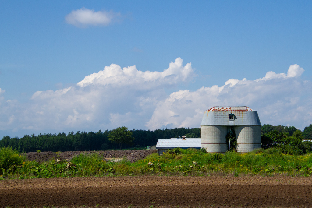 さいろの　ふうけい