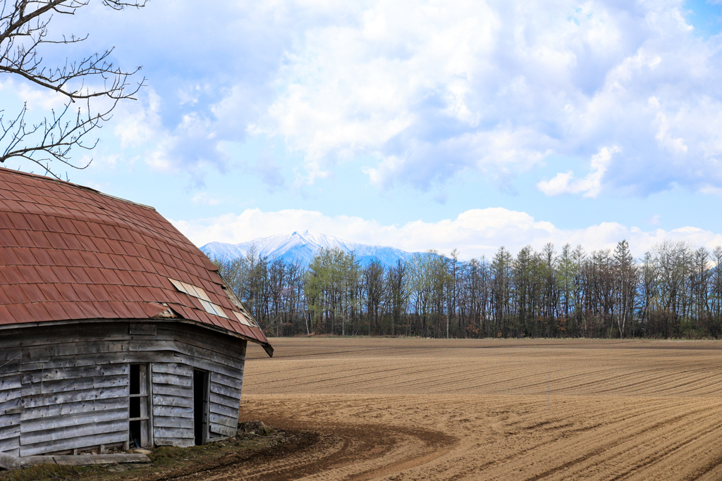 のうかの　みなさまへ　ありがとう
