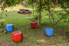 なにか　たのしそう