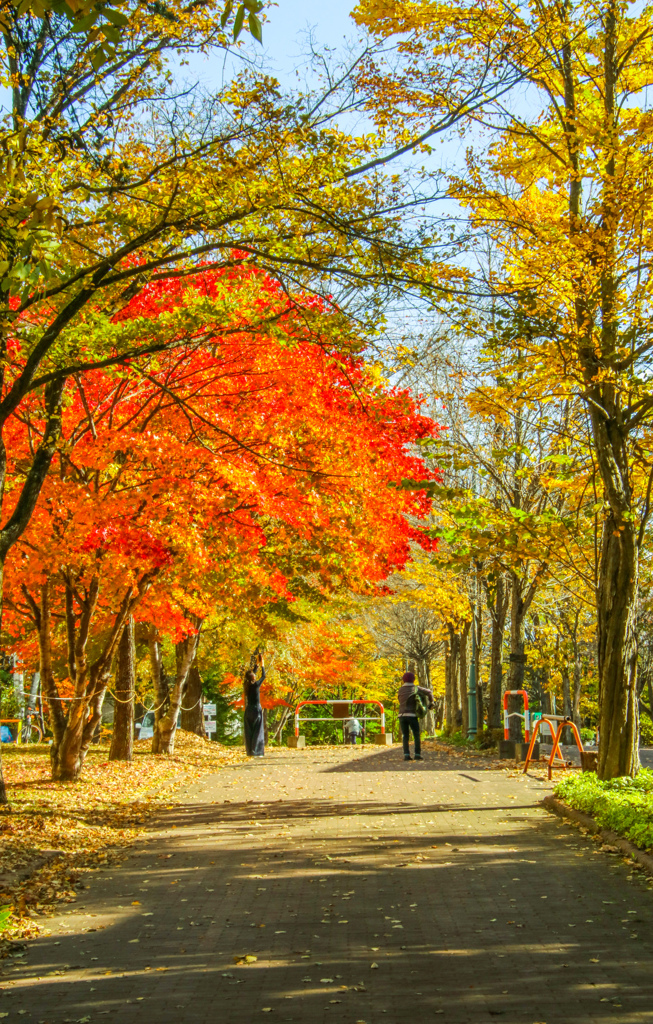 あきの　ふうけい
