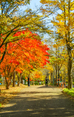 あきの　ふうけい