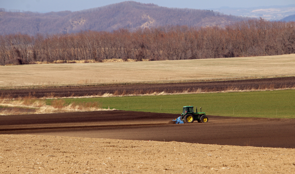 ぼくは　たべるだけだけど。　がんばってください。