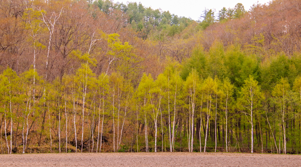 すこし　さぶい
