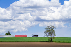 ひさしぶりに　あえたのだから