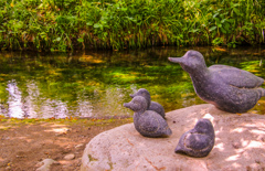 ほら　かえるよ