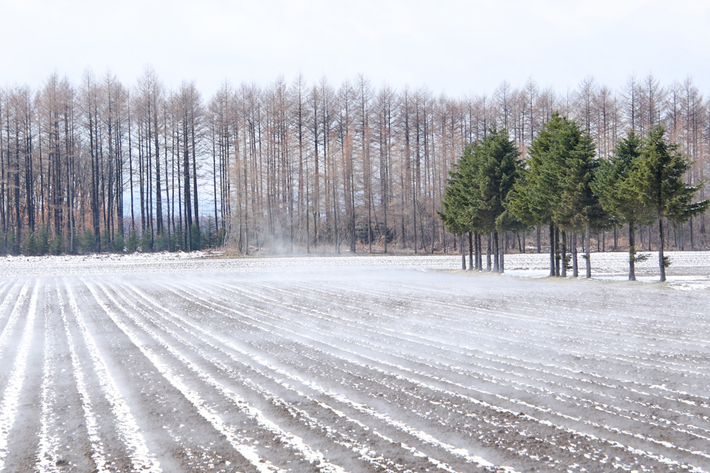 ぽか　ぽか　ぽか
