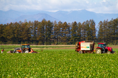 いっか　そうでで