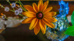 いまを　いきる