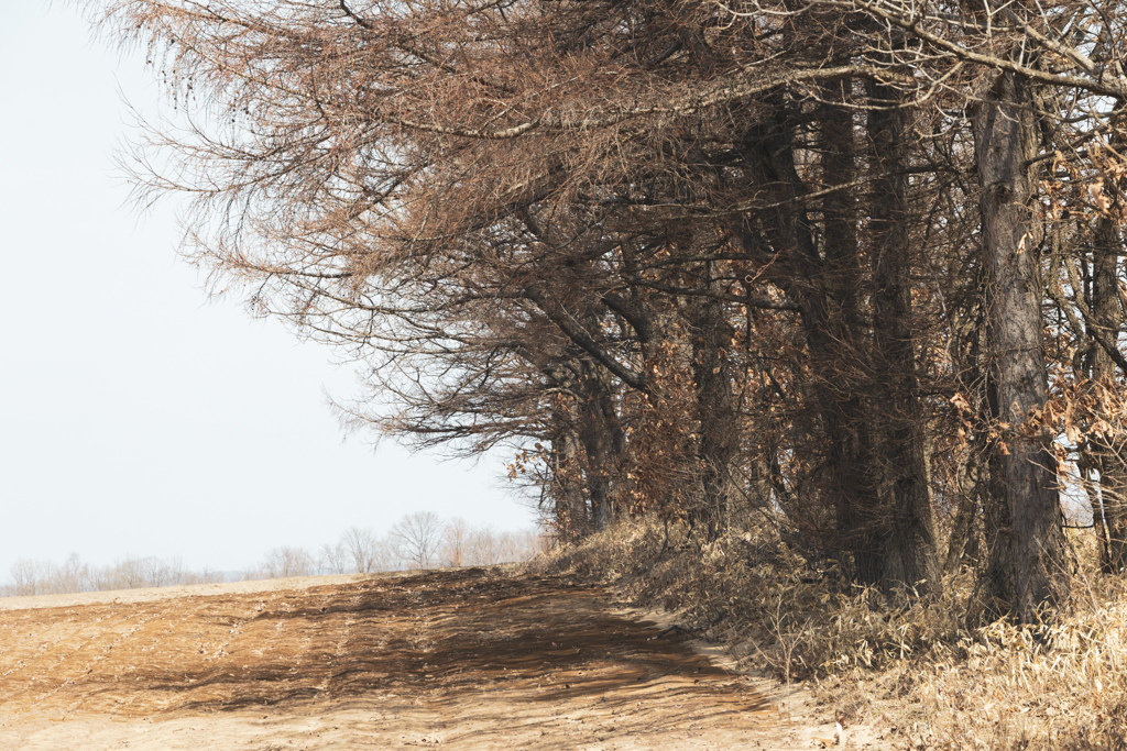 き　き　き　き