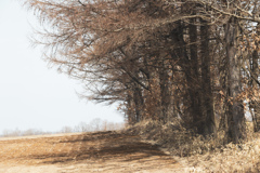 き　き　き　き