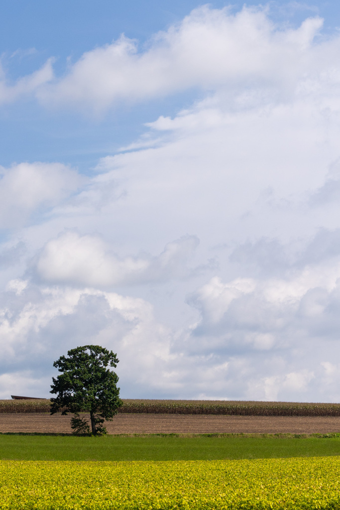 あき　ちかく？