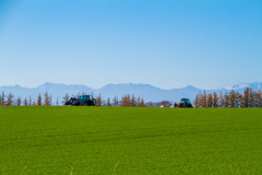 もうすこしだね。