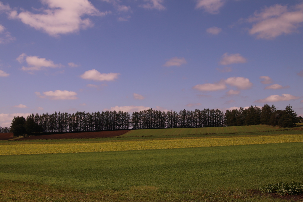 やっぱり空には雲がないとね。