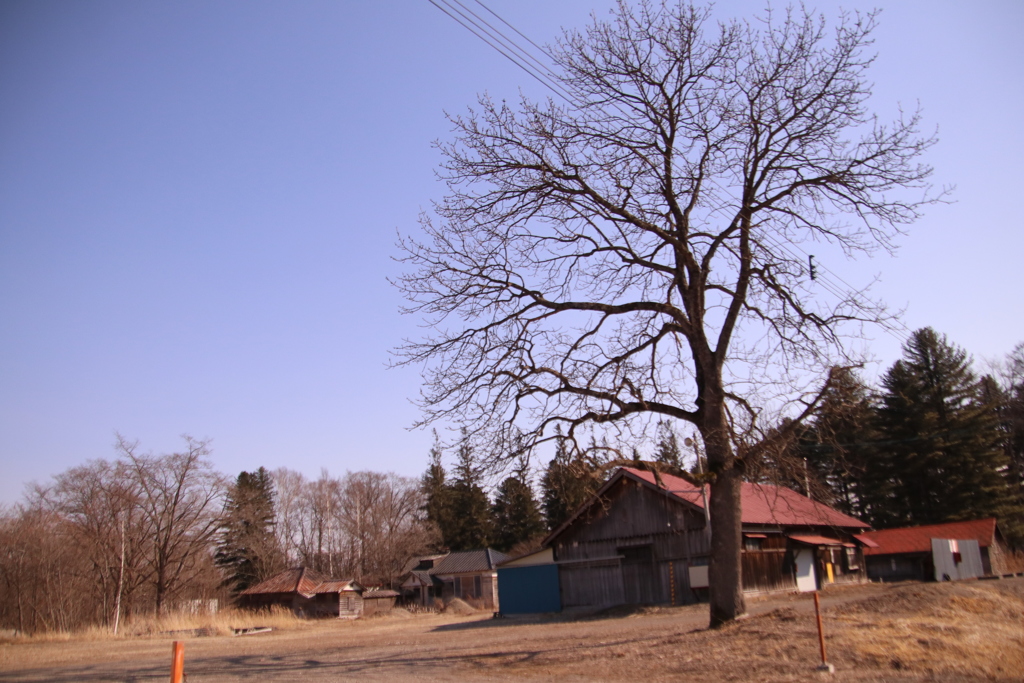 むかしのはなし