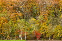 あき・あき・あき