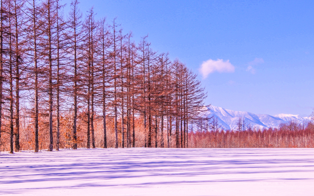 ほどよく　さむい