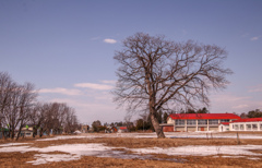 たいじゅ　に　まなぶ