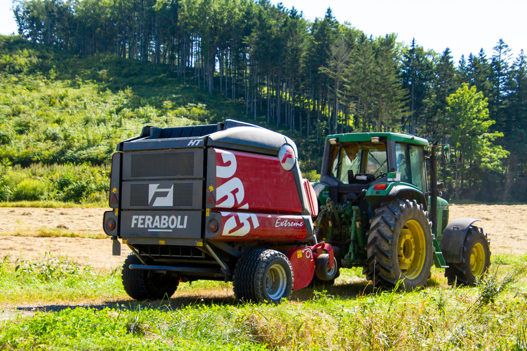 たいしたもんだよ。