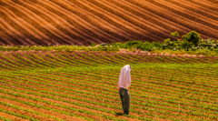 な・な・な・なに？