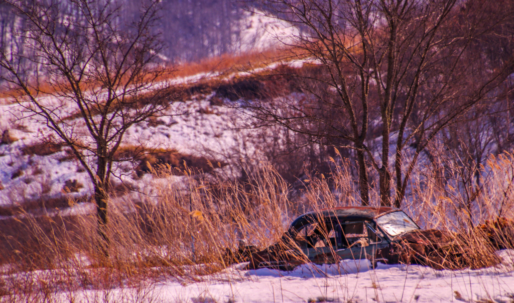はたけの　むこうに