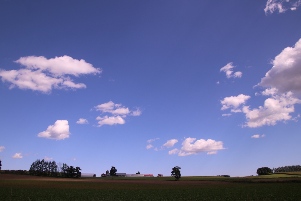 なかなかいい雲