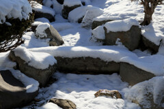 ふっちゃいました