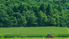 みどりのなかの　あかい　とらくたー