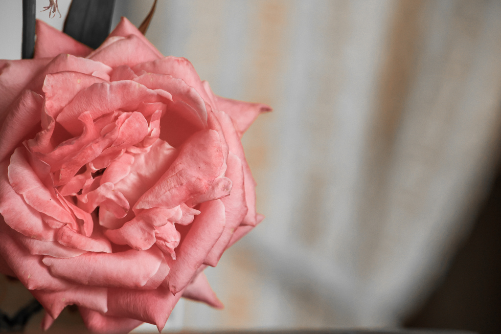 きょうも　くもり