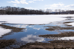 はたけ　に　そら