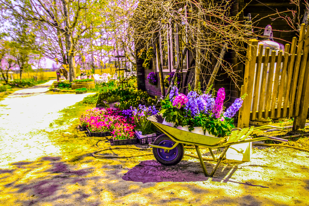 いろ　いろ　てんこもり