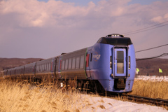 なつかしき　すがた