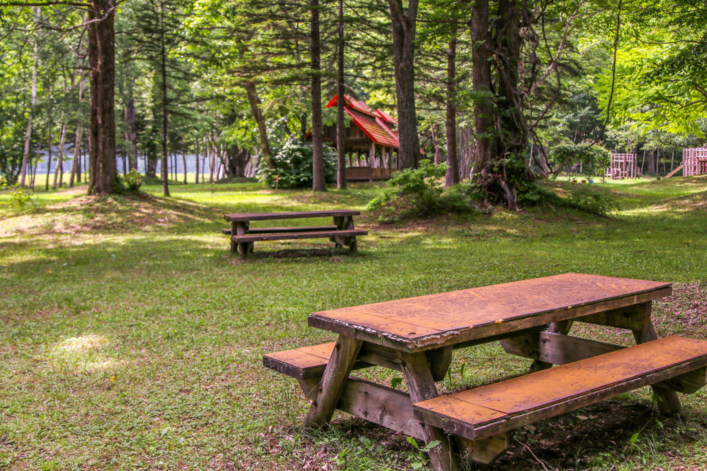 ことしも　きたいね